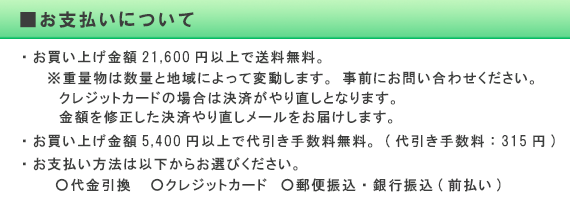 お支払いについて